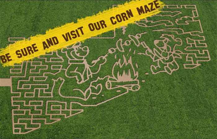View our Corn Maze