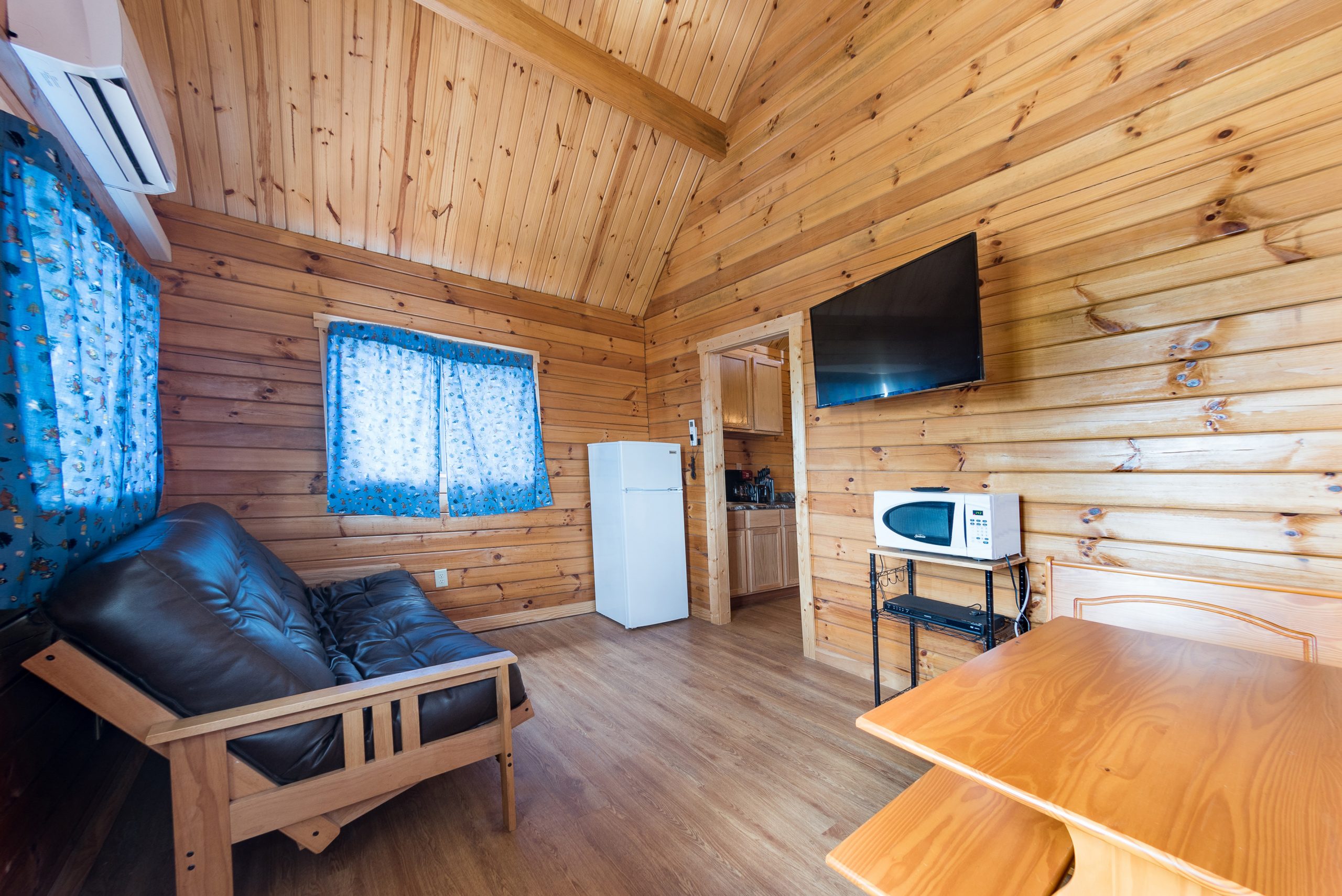 Front room of retreat, futon, table, microwave, refrigerator, and tv