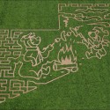 Corn Maze