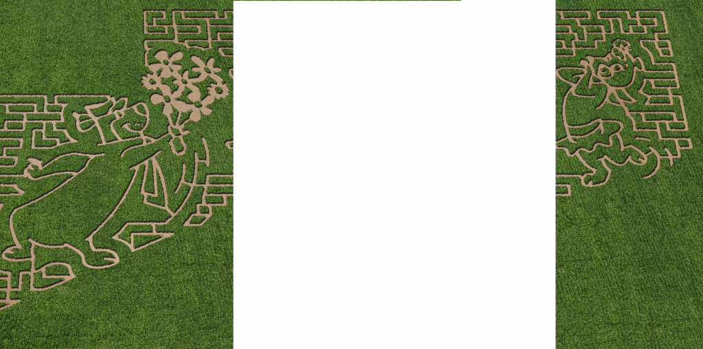 corn maze BG Sioux Falls Yogi Bear’s Jellystone Park™ CampResort